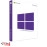 License Windows 10 Pro
