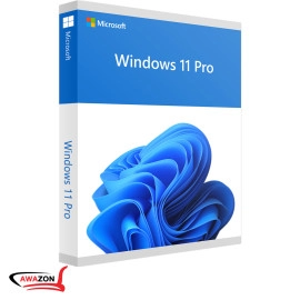 License Windows 11 Pro